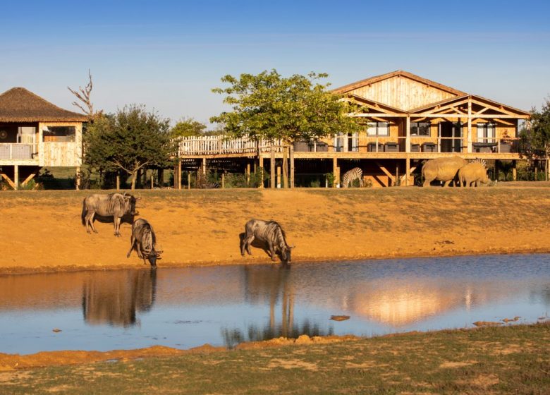 AFRICA LODGES – ZOO DE LA BOISSIÈRE DU DORÉ