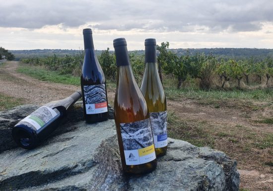 Domaine Les Pierres Meslières