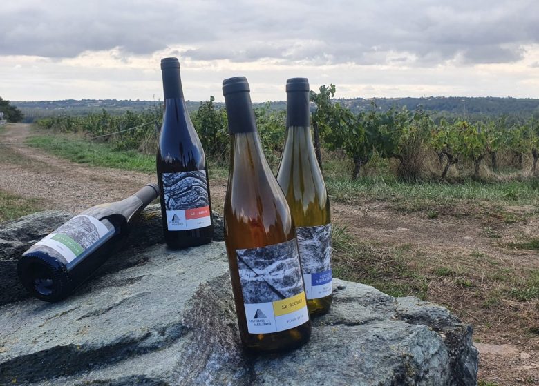 Domaine Les Pierres Meslières