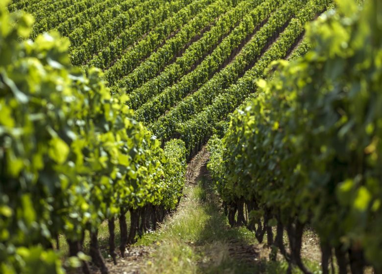 Domaine des Galloires