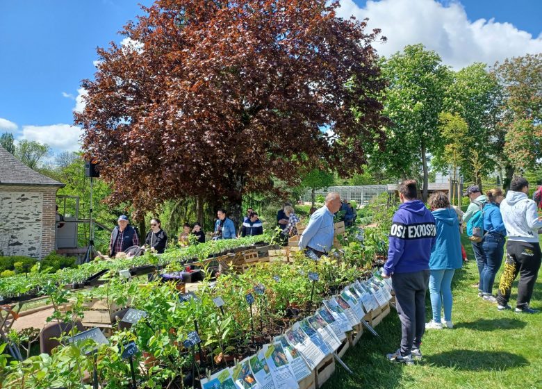 Marché aux plantes au Jardin Camifolia