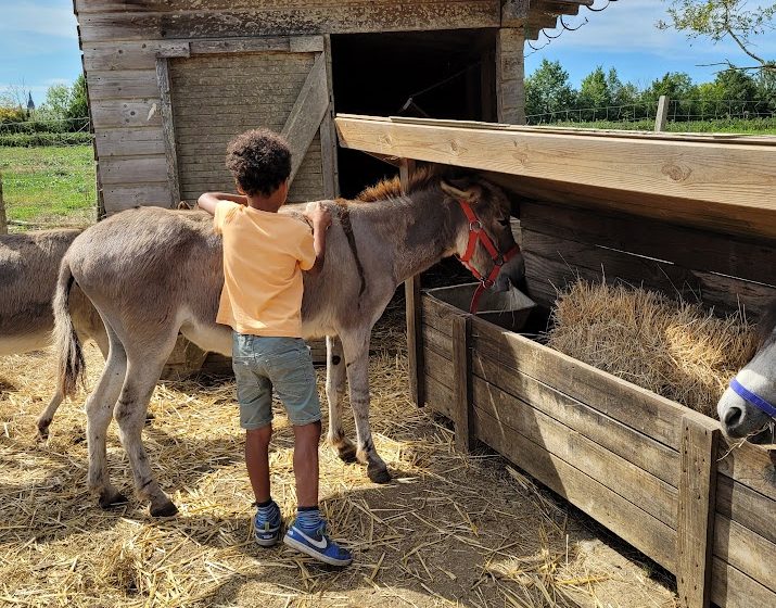 Visite à la ferme au Camping La Guyonnière