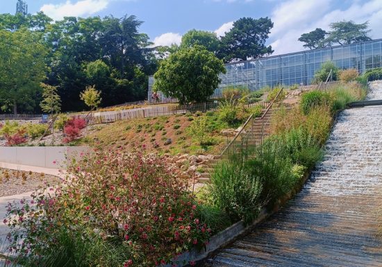 Immersion végétale au fil des saisons