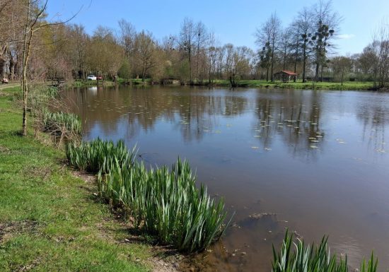 Pêche à la Boire de la Grand’ Fosse