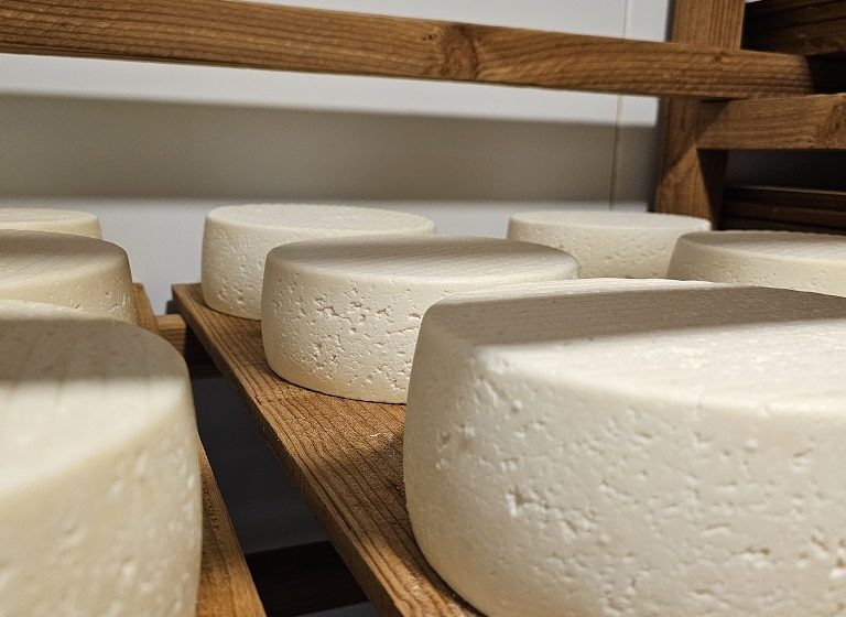 La Ferme des Belles Bêtes