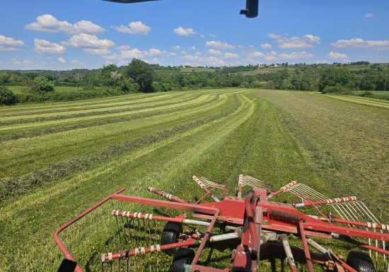 La Ferme des Belles Bêtes