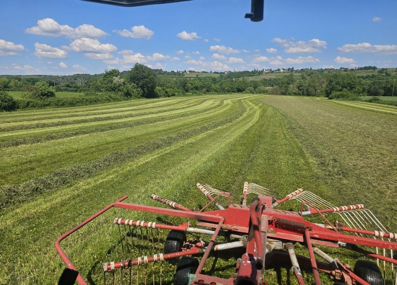 La Ferme des Belles Bêtes