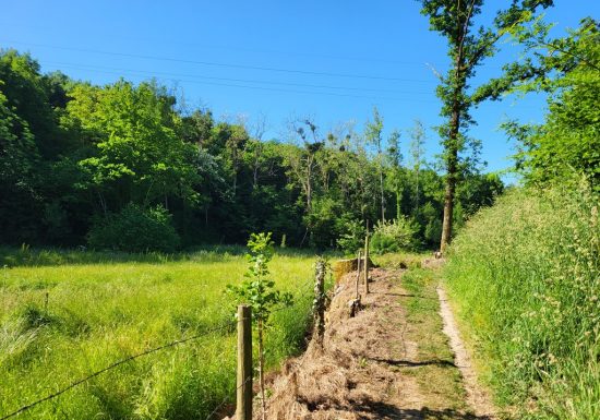 Randonnée “Vallée de l’Aiguefou”