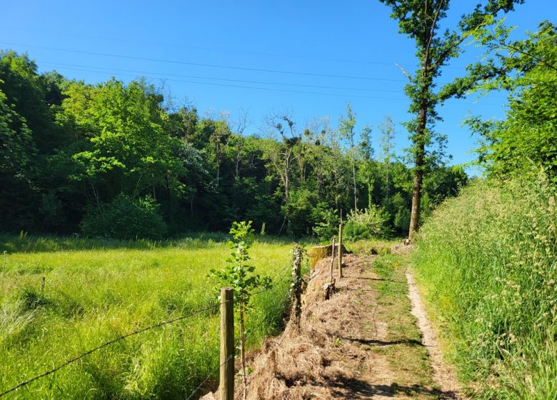 Randonnée “Vallée de l’Aiguefou”