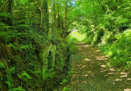 Randonnée “Foulques Nerra”