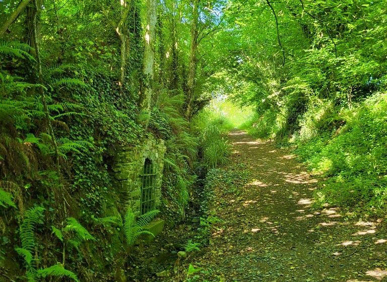 Randonnée “Vallée de l’Aiguefou”