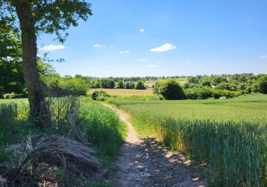 Randonnée “Bornéo”