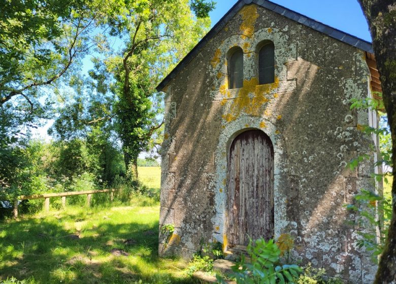 Randonnée “Bornéo”