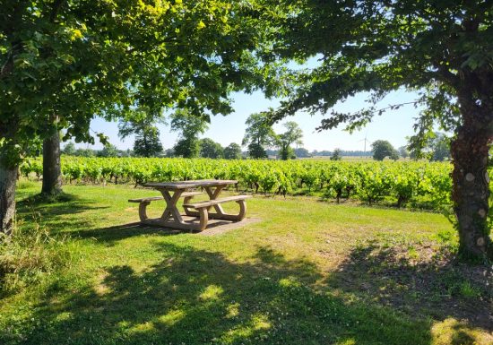 Randonnée “La cour”