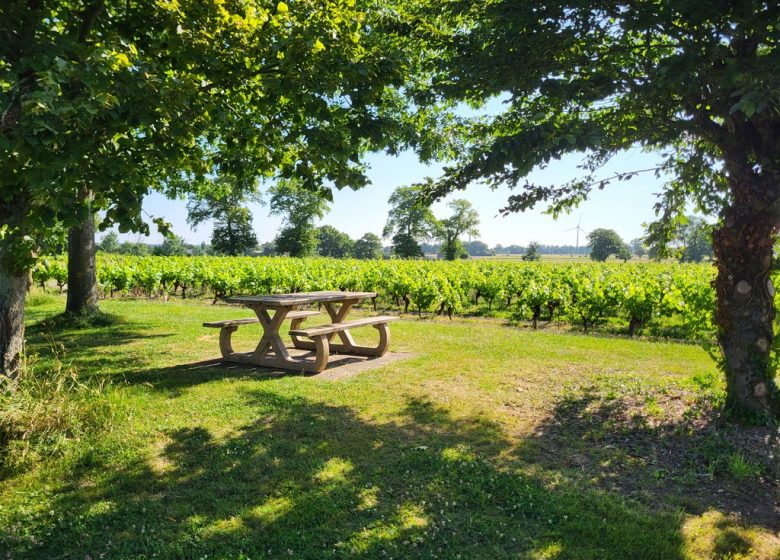 Randonnée “La cour”