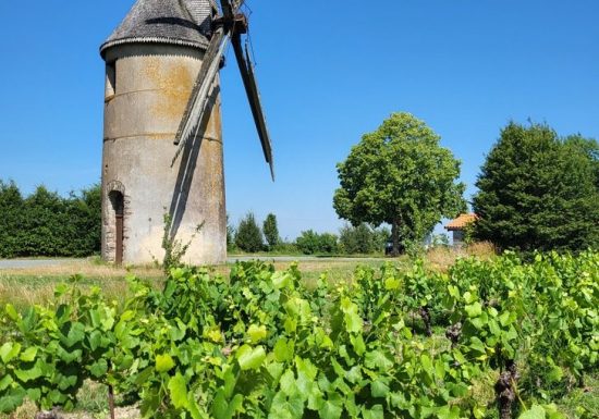 Randonnée “La cour”