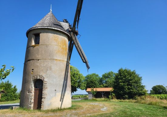 Randonnée “La cour”