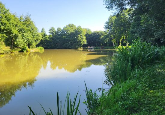 Randonnée “La Bataille”