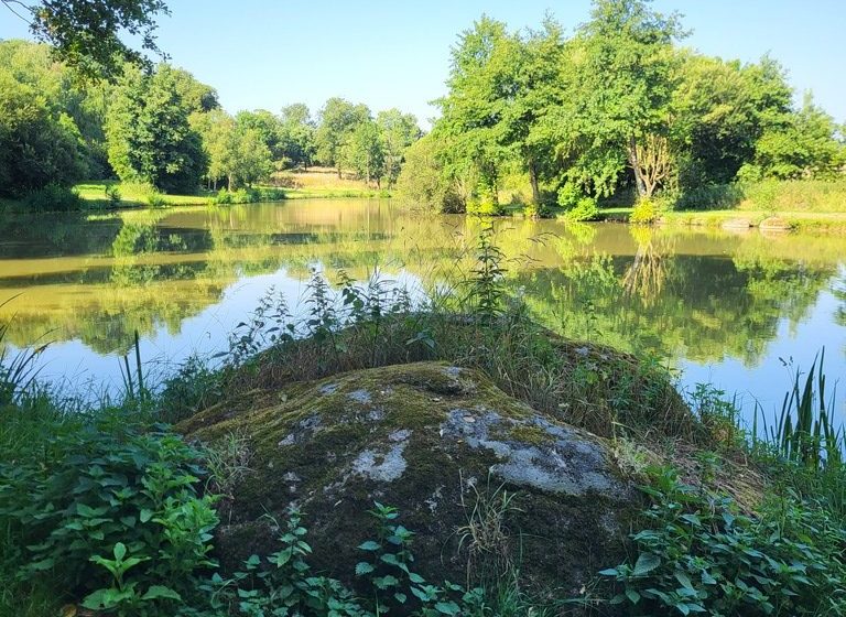 Randonnée “Les Roches”