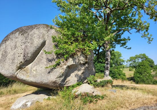 Randonnée “Les Roches”