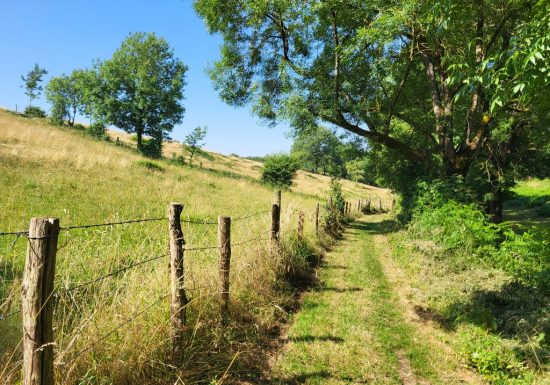 Randonnée “Les Roches”