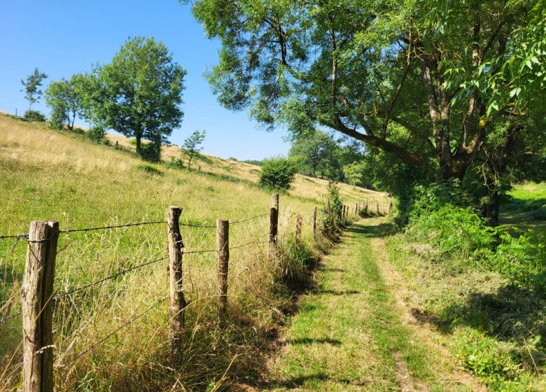 Randonnée “Les Roches”