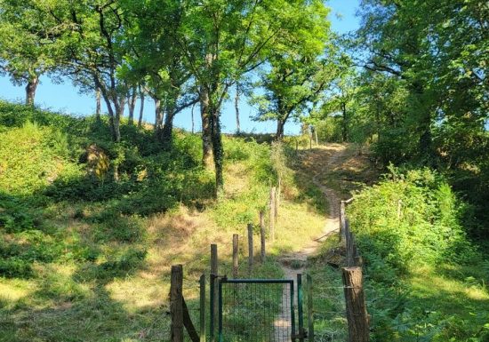 Randonnée “Les Roches”