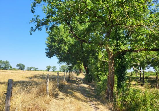 Randonnée “La Bataille”