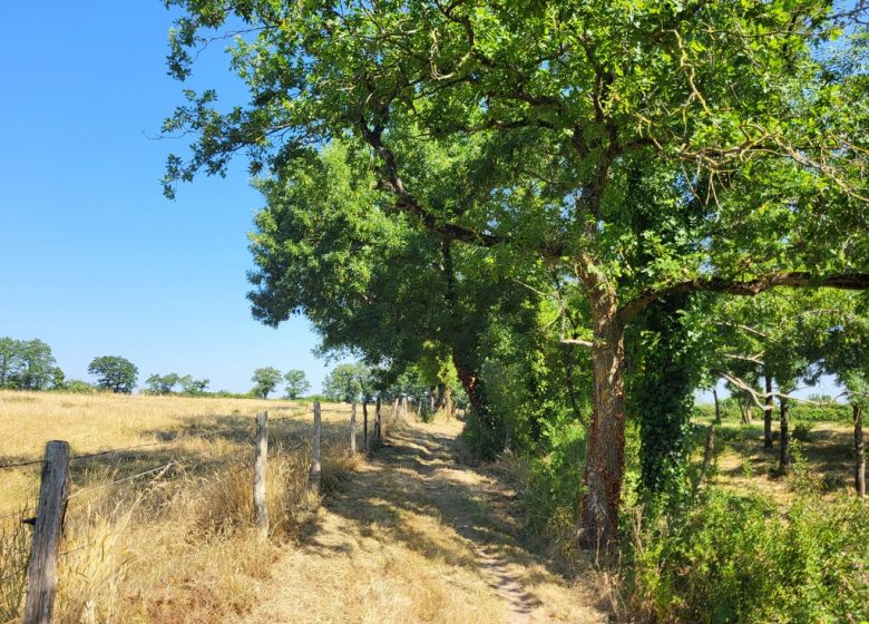 Randonnée “La Bataille”