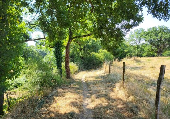 Randonnée “Les Roches”