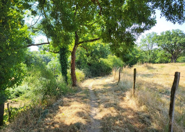 Randonnée “Les Roches”