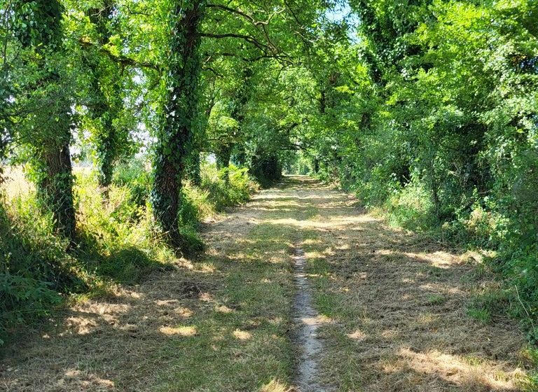 Randonnée “Les Roches”