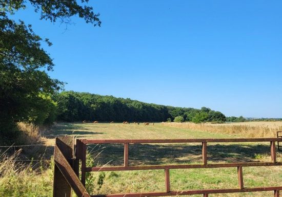 Sentier d’interprétation “La Bataille de Torfou”