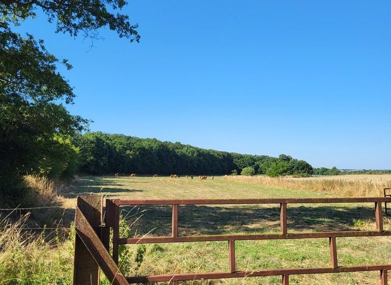 Sentier d’interprétation “La Bataille de Torfou”