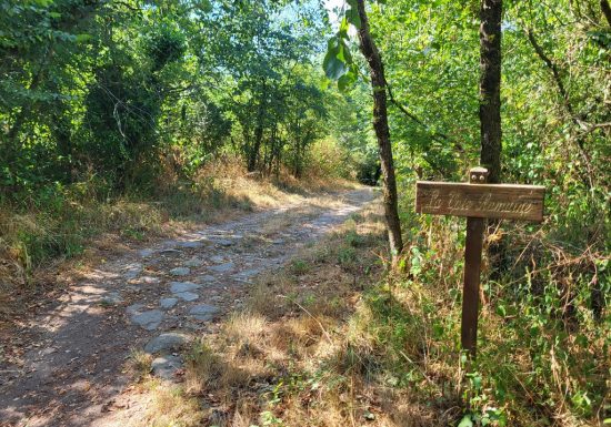 Randonnée “La colonne”