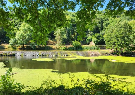 Randonnée “La colonne”