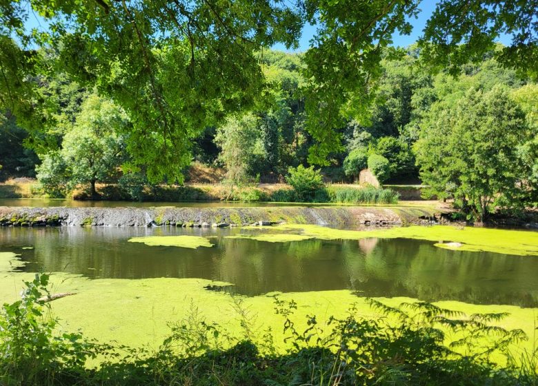Randonnée “La colonne”