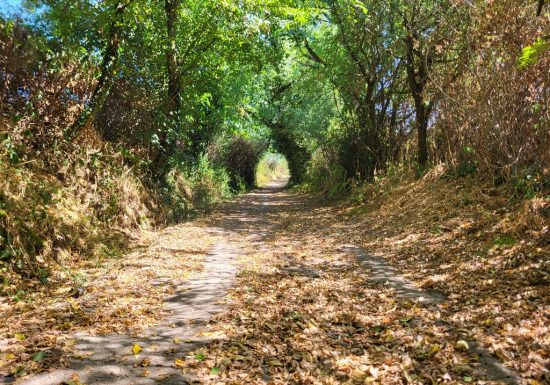 Sentier d’interprétation “La Bataille de Torfou”