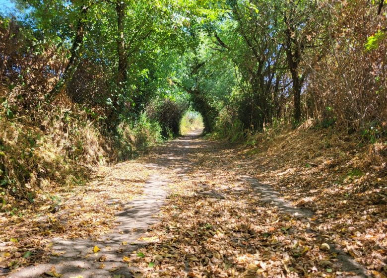 Sentier d’interprétation “La Bataille de Torfou”