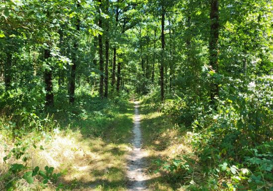 Randonnée “La colonne”