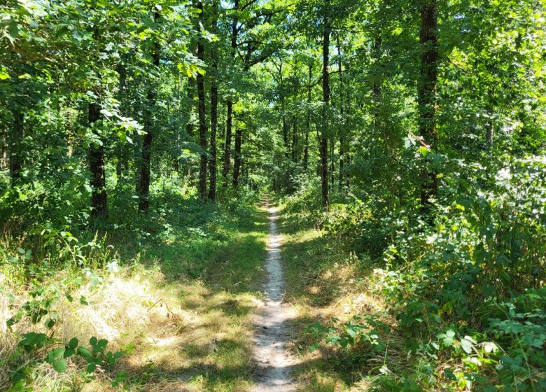 Randonnée “La colonne”
