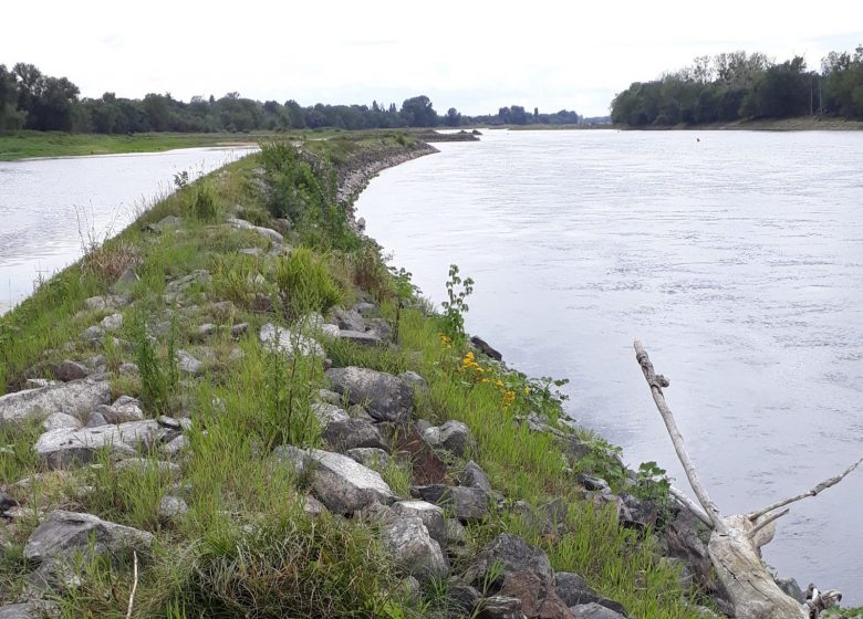 RDV Nature en Anjou – Entre Èvre et Loire avec le Théâtre de l’Èvre