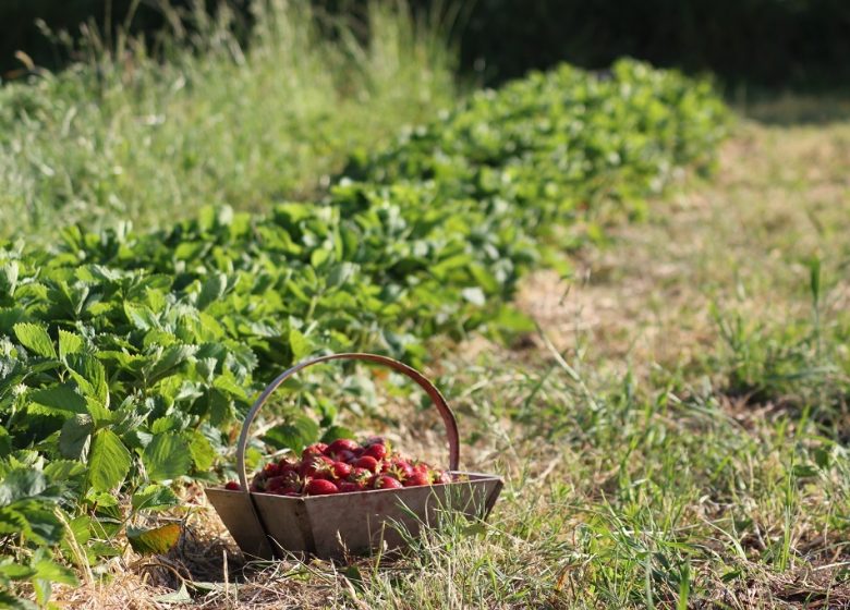 C’est quoi ton entreprise ? Le petit Lérot