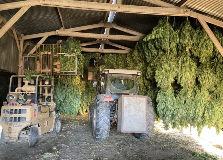 C’est quoi ton entreprise ? Le Panier Bio du Moulin