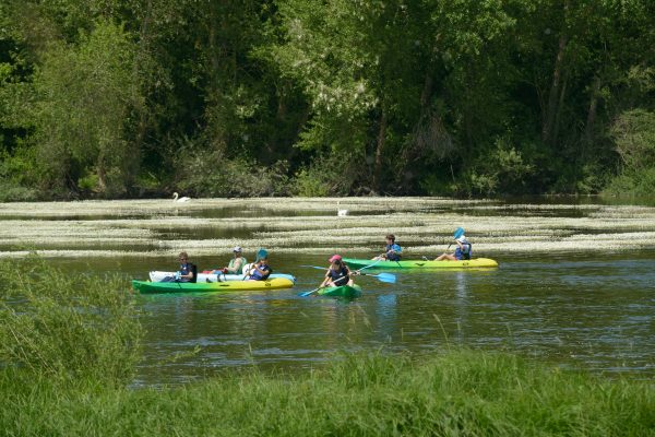 Pagaies de Loire