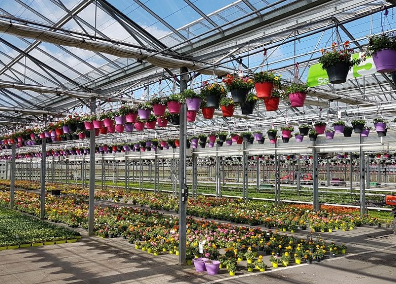 C’est quoi ton entreprise ? Jarry Productions Horticoles