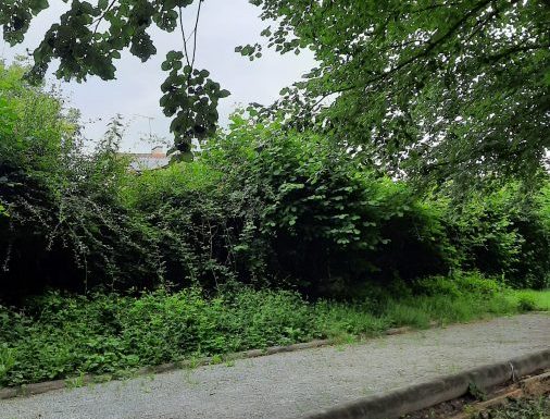 Aire de pique-nique Etang de La Salle-Aubry