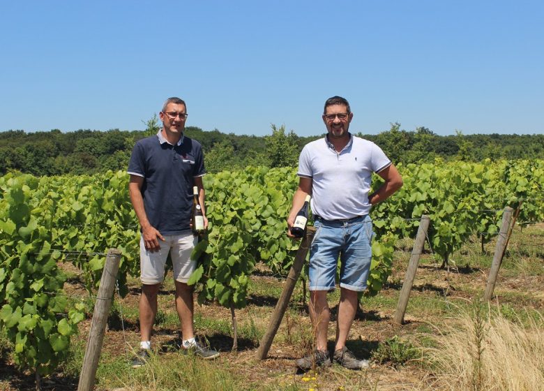 C’est quoi ton entreprise ? Domaine de la Colline