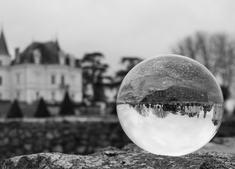 Exposition “de Blanc et de Noir”