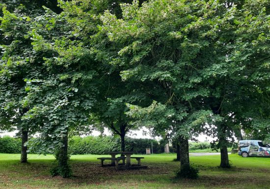 Aire de pique-nique de La Chapelle-Aubry